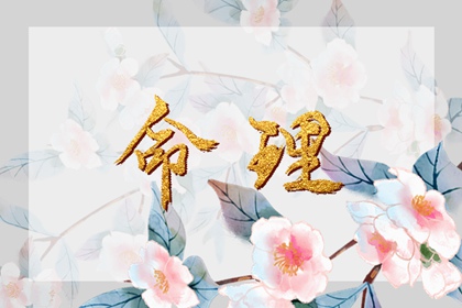 择吉老黄历汉典万年历_万年历日历2026年_万年历完整版